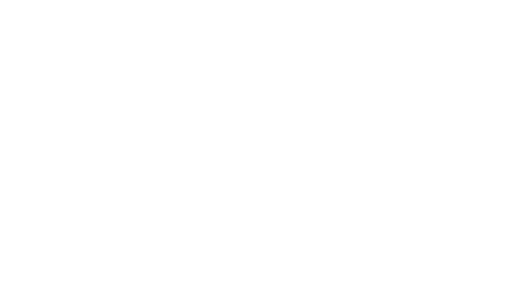 Lester's