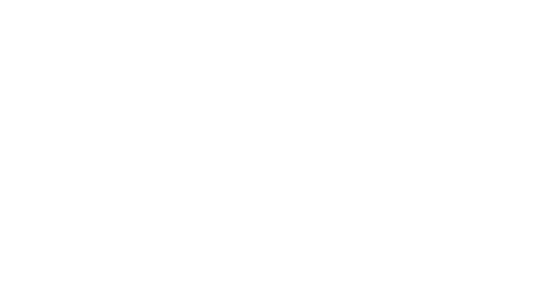 Jacqueline and Ken Sirlin