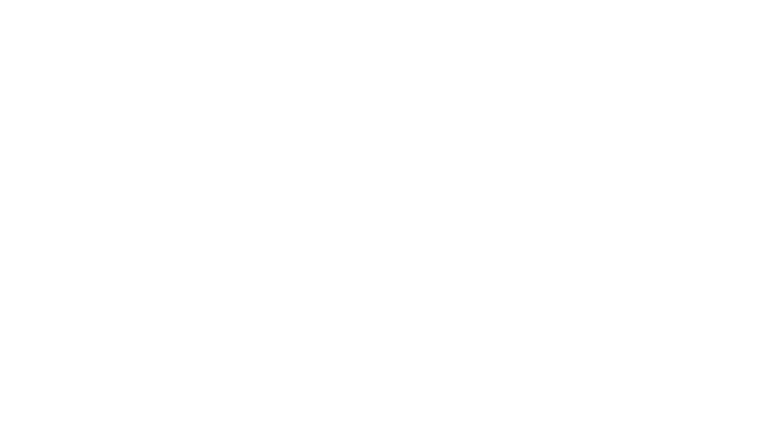 The Kicklighter Company