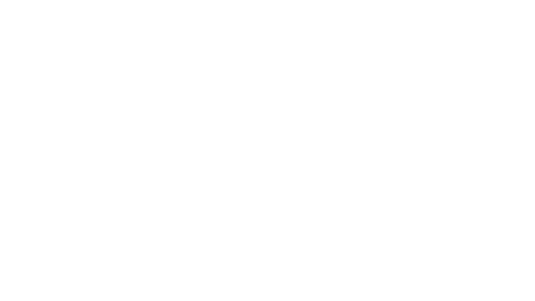 Savannah Hilton Head International Airport
